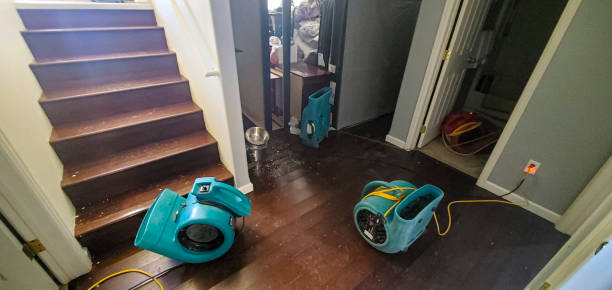 Best Wood Floor Water Damage Restoration in Walnut Grove, CA